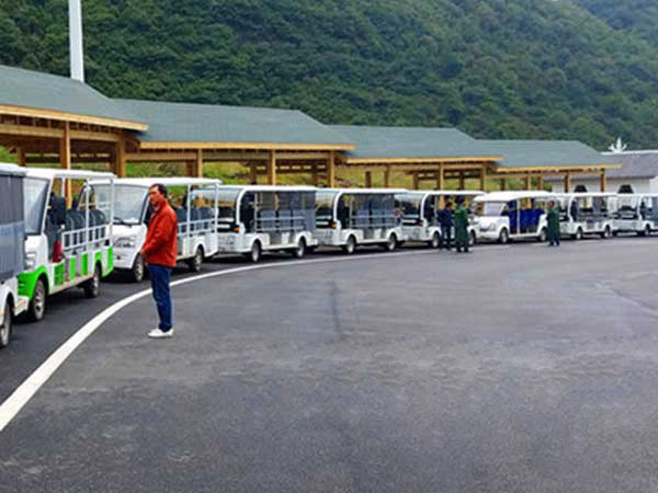 貴州天上花海景區(qū)采購力乘燃油觀光車